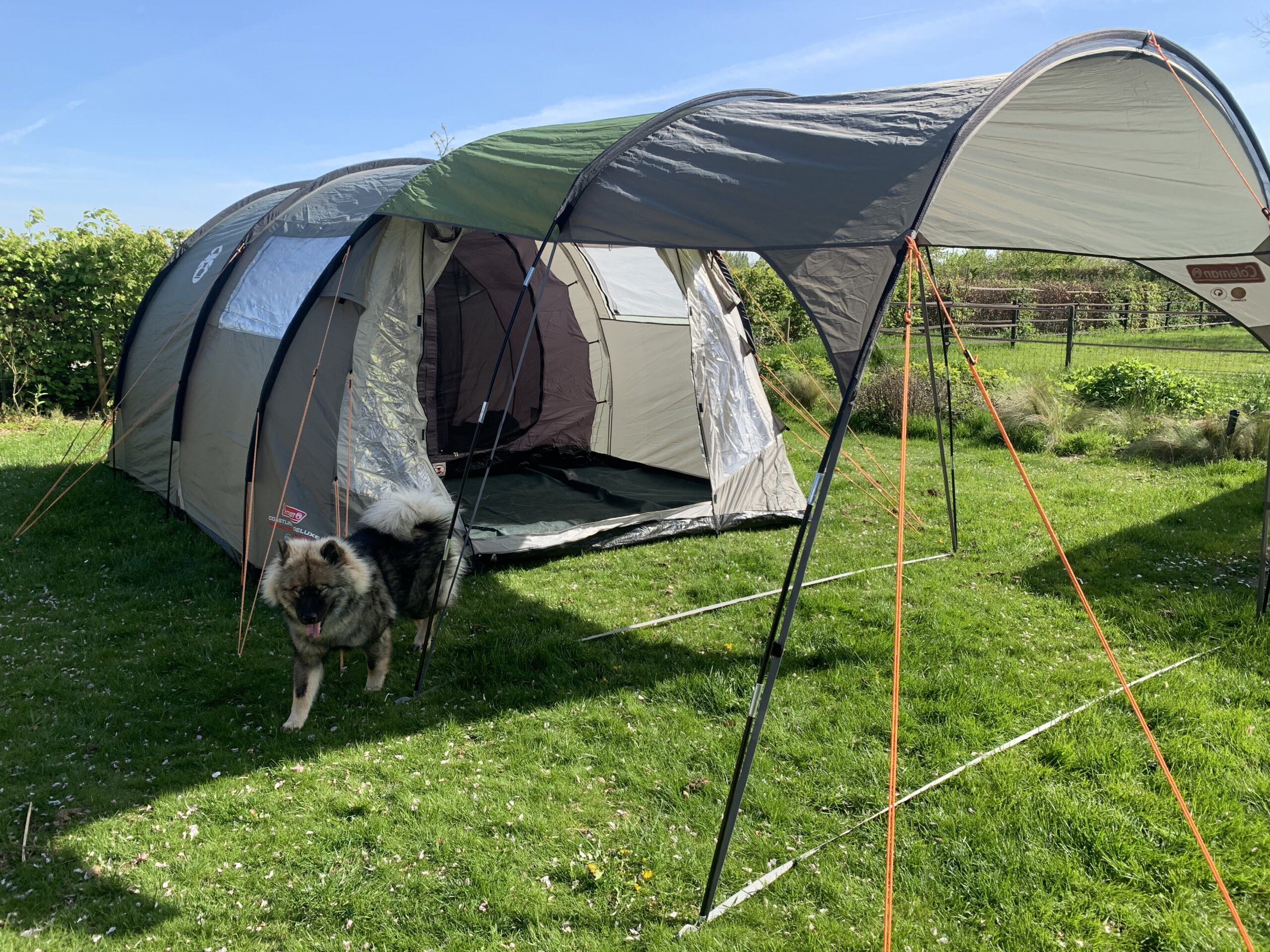 Avontuur met je hond kamperen tent